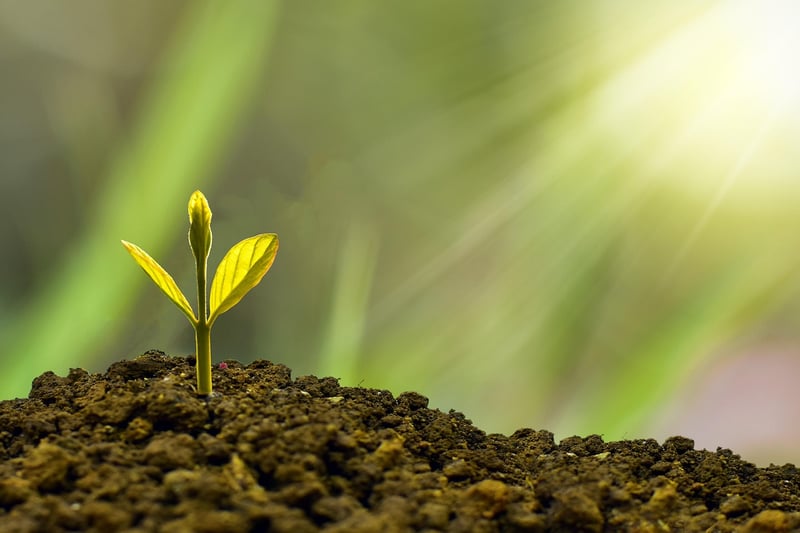 Sustainability Practices